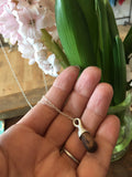 Torrey Pine Nut Necklace